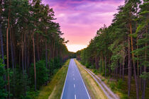 Road through forest under purple sunset sky von raphotography88