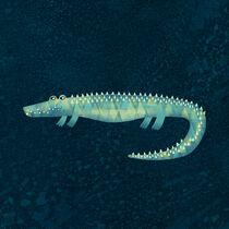 Alligator - or maybe Crocodile by Nic Squirrell