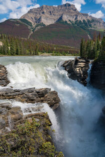 Athabasca Falls, Jasper Nationalpark, Kanada by alfotokunst
