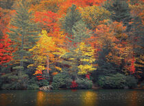 Fall in Blue Ridge Mountains by William Schmid