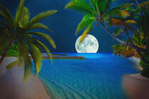 Südseeinseln im Mondschein von AD DESIGN Photo + PhotoArt