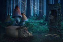 Mystical Forest von AD DESIGN Photo + PhotoArt