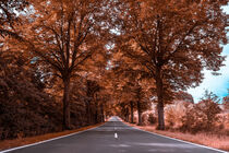 Tree-lined avenue through Thuringia in autumn von raphotography88