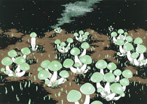 Mushrooms at night by Ayumi Yoshikawa