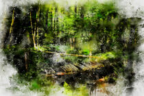 Die Brücke im Wald by Claudia Evans