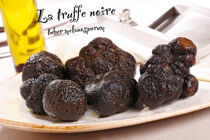 La truffe noire (tuber melanosporum) by Boris Selke