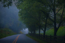 North Carolina Misty  by William Schmid