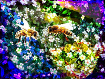 Bienenblumemmeer von Eva Dust