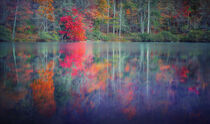 Autumn Reflection by William Schmid