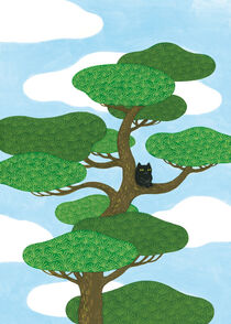 Black cat on a pine tree