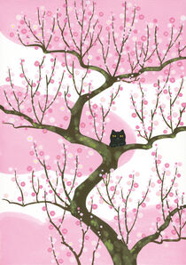 Black cat with Japanese apricot von Ayumi Yoshikawa