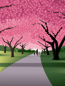 A walk beneath the Cherry Blossoms by John Tomac