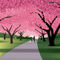 'A walk beneath the Cherry Blossoms' von John Tomac