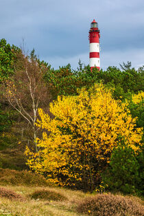 Leuchtturm in Wittdün auf der Insel Amrum von Rico Ködder
