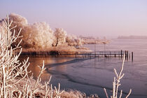 Winterlandschaft am Wasser. Winter. Havelland. by havelmomente