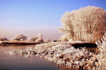 Winterlandschaft am Wasser. Wolkenlos. Winter. Havelland. by havelmomente