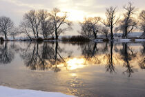 Winterlandschaft mit Sonnenuntergang am Wasser. Wolkenlos. Winter. Havelland. von havelmomente