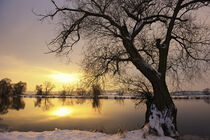 Winterlandschaft mit Sonnenuntergang am Wasser. Wolkenlos. Winter. Havelland. von havelmomente