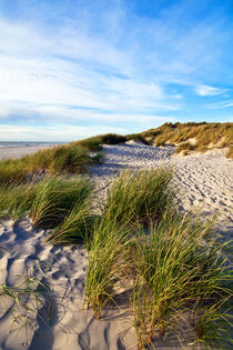 Magische Sanddüne an der Dänischen Küste in Jutland von captainsilva