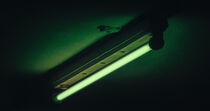 Green Matrix Light by Ingo Menhard