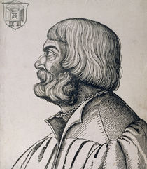 Profile portrait of Albrecht Durer  by Erhard Schon