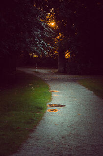 Romantic park way in the evening by Ingo Menhard