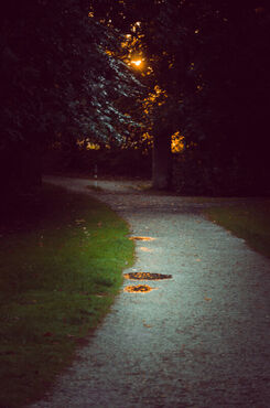 Dsc-1886-romantic-park-way-in-the-evening