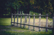 Wooden paddock fence by Ingo Menhard