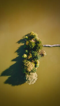 Little Island, Stampach Pond von Tomas Gregor