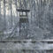 Winter-seat-wp-20180404-14-00-45-raw-highres