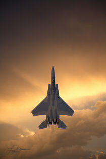 F-15 Straight Up by Larry McManus