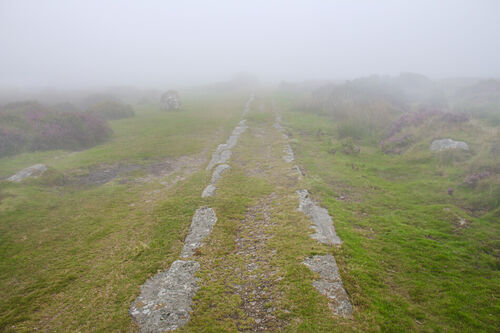 Img-4840-lost-in-dartmoor-is-this-the-right-way
