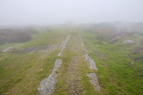Img-4840-lost-in-dartmoor-is-this-the-right-way