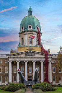 Imperial War Museum Weeping Window Poppies by Milton Cogheil