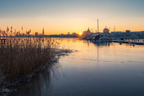 Blick über die Warnow auf Rostock im Winter by Rico Ködder