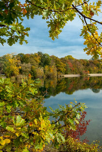 Autumn day at the lake von Iryna Mathes