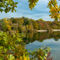 Herbst-baggersee-2020-irynamathes-4975