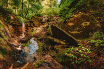 Märchenhafte Schlucht mit Wasserfall by mindscapephotos