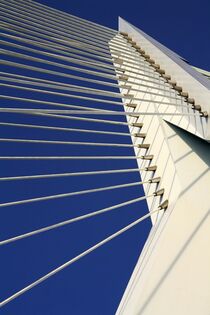 Erasmusbrücke Rotterdam von Udo Beck