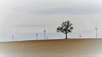Der Baum und die Windräder - regenerative Energien von Hartmut Binder