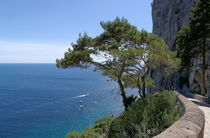 Capri: Traumhafte Aussichten auf einer Trauminsel von Berthold Werner