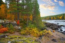 Schwedens Wildnis - Schwedisch Lappland von Mellieha Zacharias