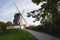 Windmühlen von Brügge, Flandern, Belgien von alfotokunst
