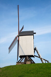 Windmühlen von Brügge, Flandern, Belgien by alfotokunst