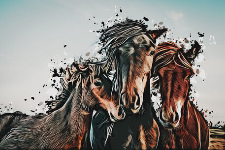 Horses-01