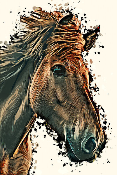 Horses-02