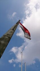 Indonesian-flag