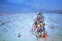 Christmas on the Beach by Christopher Seufert
