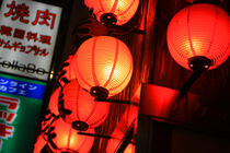 Japanese Lights by Desiree Picone
