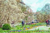Watercolor illustration of botanical garden in Munich. Cherry blossom time von havelmomente
